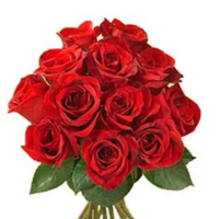 Red Roses - 10 Rose Bouquet